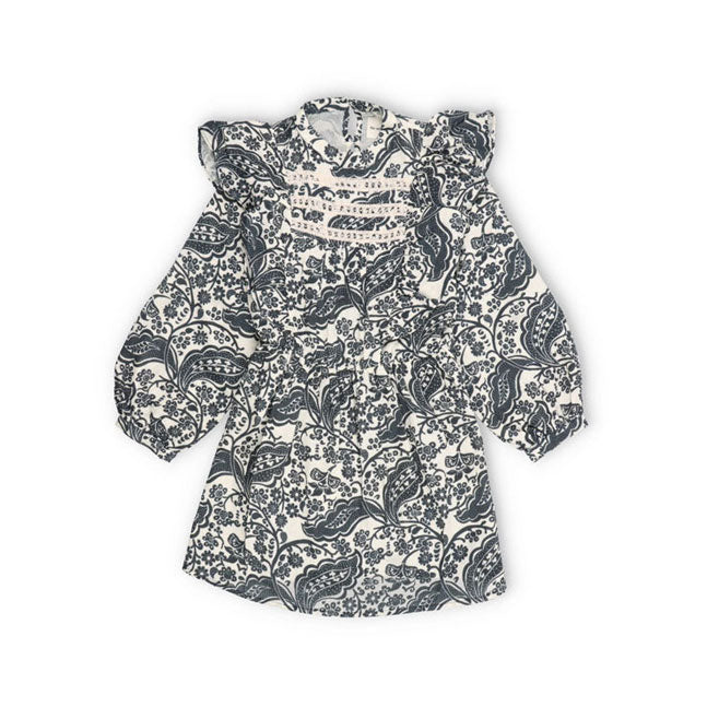 The New Society Majestic Paisley Jaipur Dress