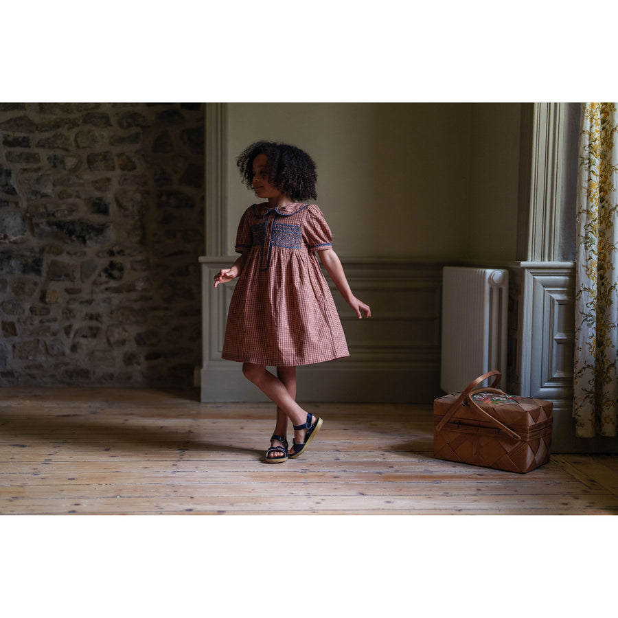 Little Cotton Clothes Tea Rose Tiny Check Elizabeth Dress