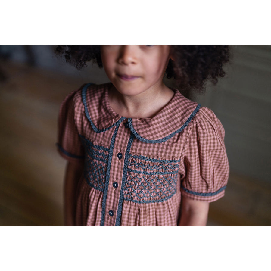 Little Cotton Clothes Tea Rose Tiny Check Elizabeth Dress
