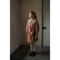 Little Cotton Clothes Seersucker Gingham Lottie Dress