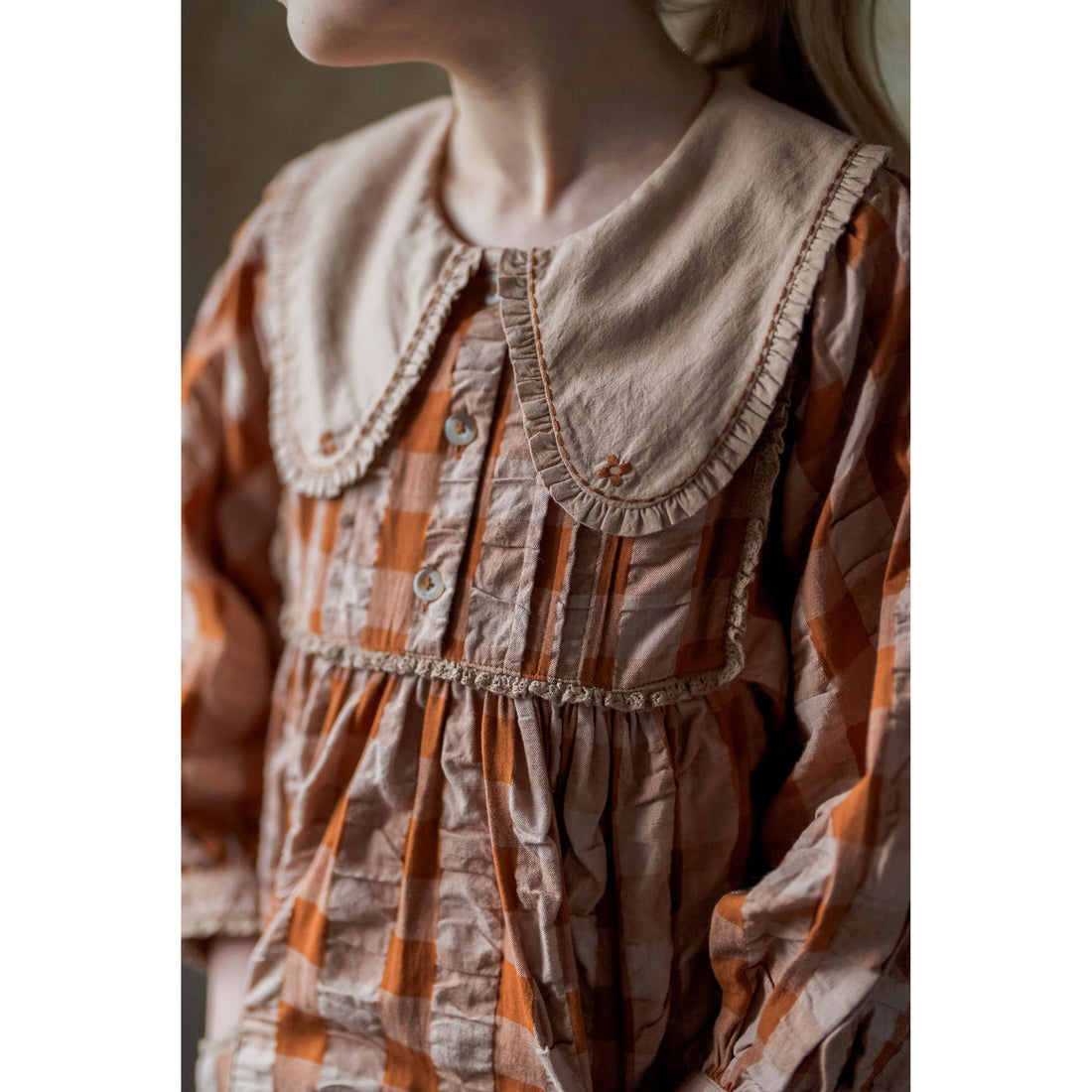 Little Cotton Clothes Seersucker Gingham Lottie Dress