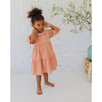 Buho Rose Clay Lurex Plumeti Dress
