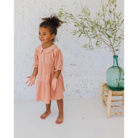 Buho Rose Clay Lurex Plumeti Dress