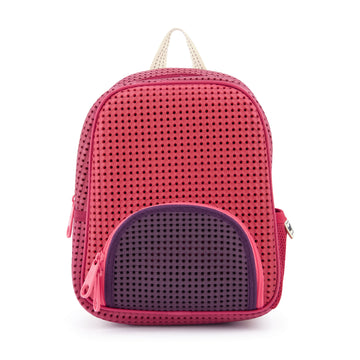  Little Miss Multi Rose