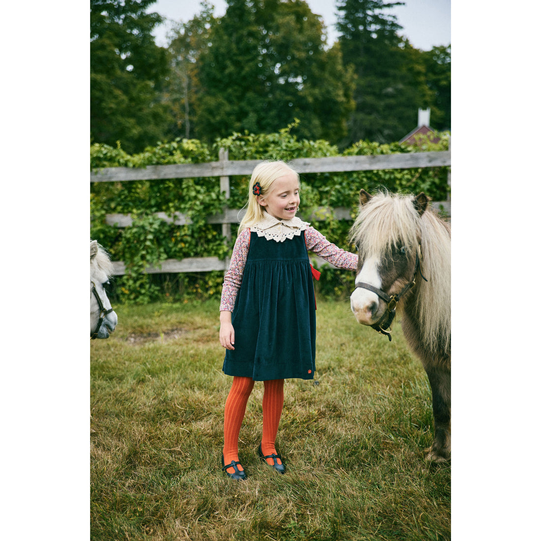 Misha and Puff Ink Velvet Esme Dress