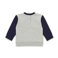 Bonton Grey School Baby Sweatshirt