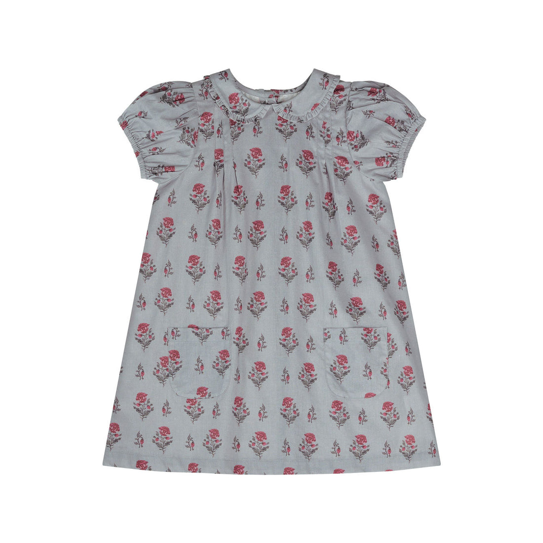 Little Cotton Clothes Juniper Floral Organic Mimi Dress