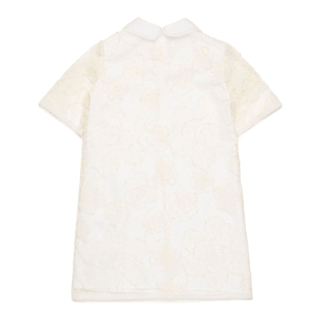 N21 Cream Lace Collared Dress