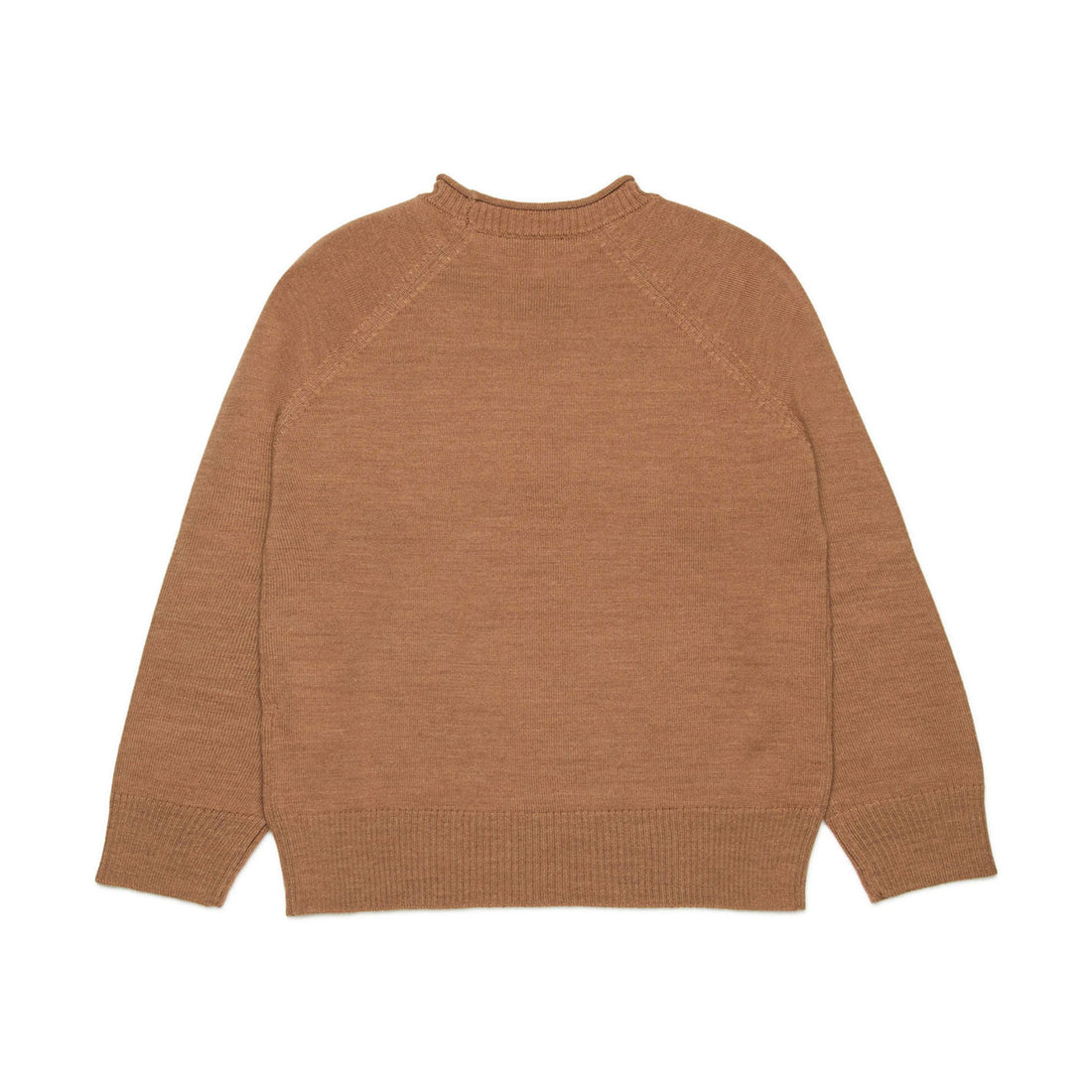 N21 Buckthorn Brown Wool Blend Pullover