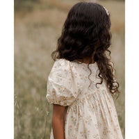 Noralee Florentine Luna Dress