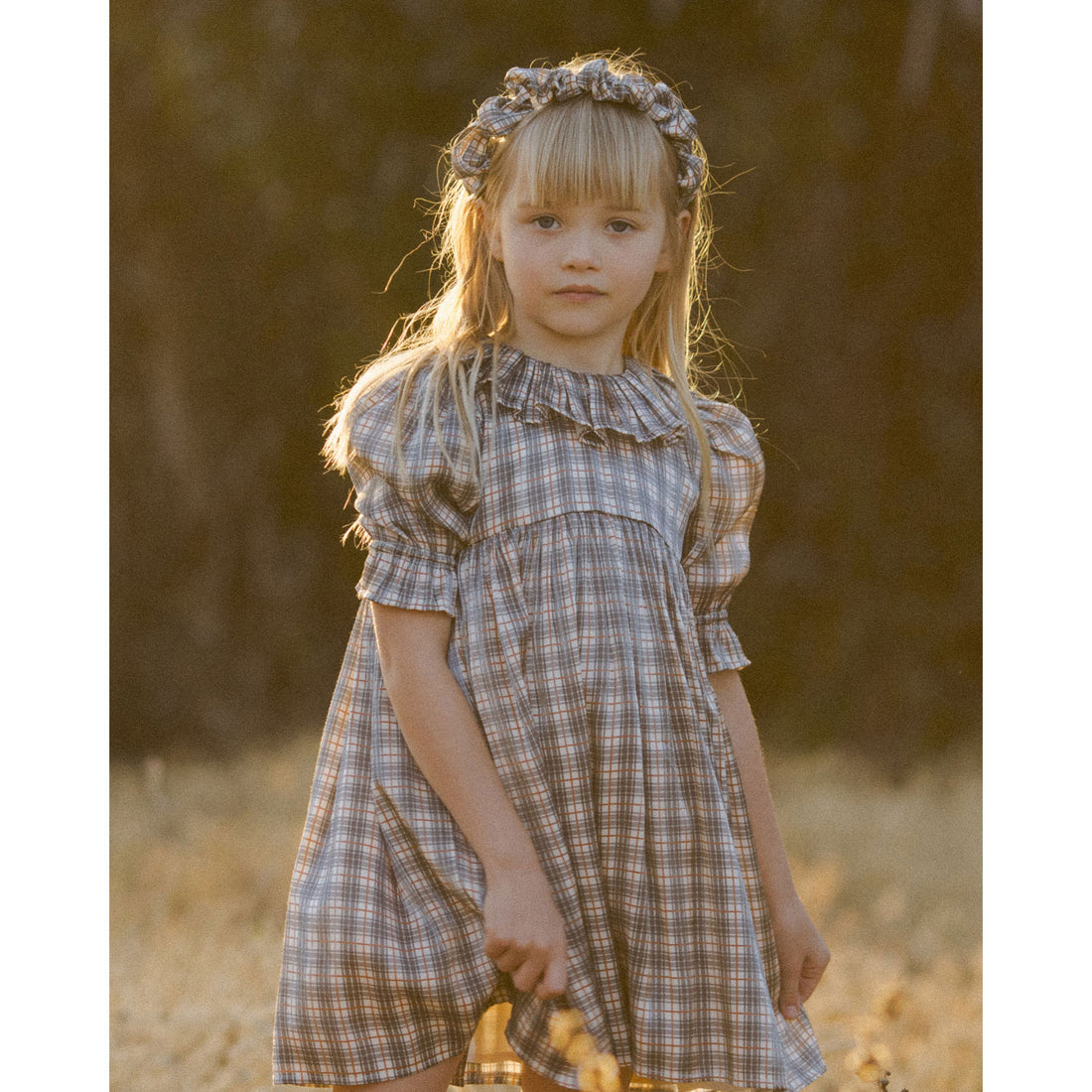 Noralee Holiday Plaid Amelia Dress  Ladida