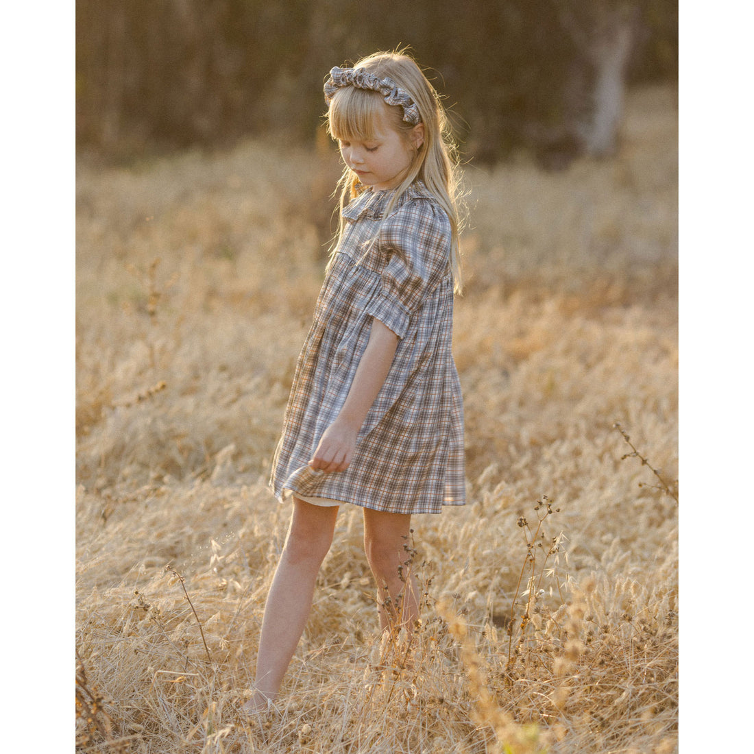Noralee Holiday Plaid Amelia Dress