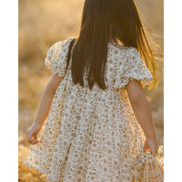 Noralee Olive Bloom Luna Dress