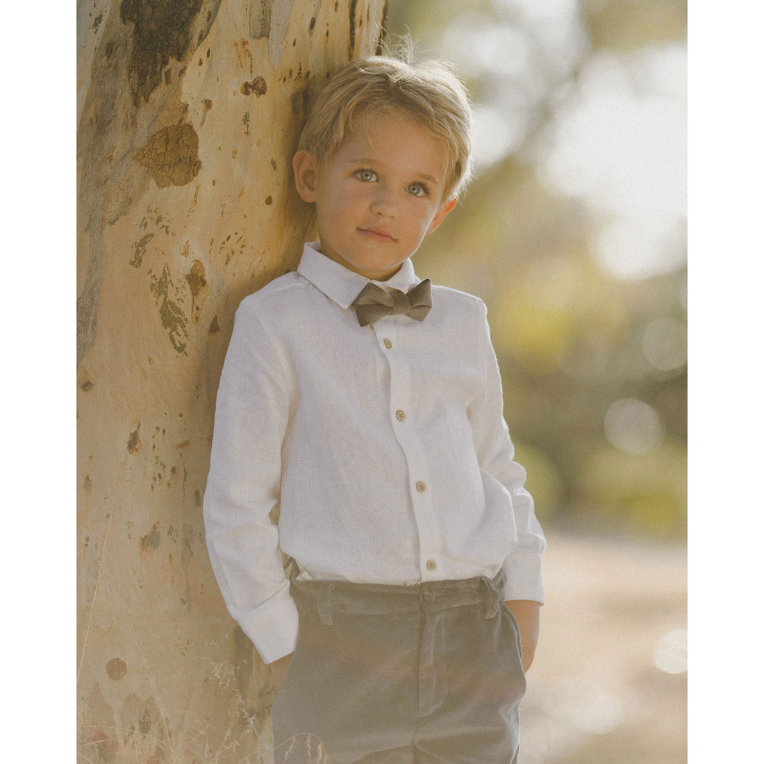 Noralee Olive Bow Tie