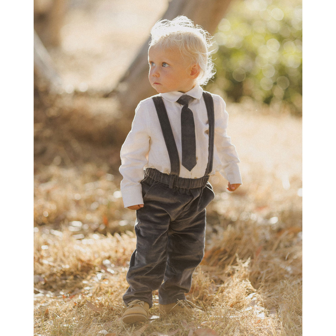 Noralee Midnight Velvet Skinny Tie