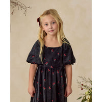 Noralee Velvet Floral Nina Dress