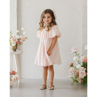 Noralee Blush Maia Dress