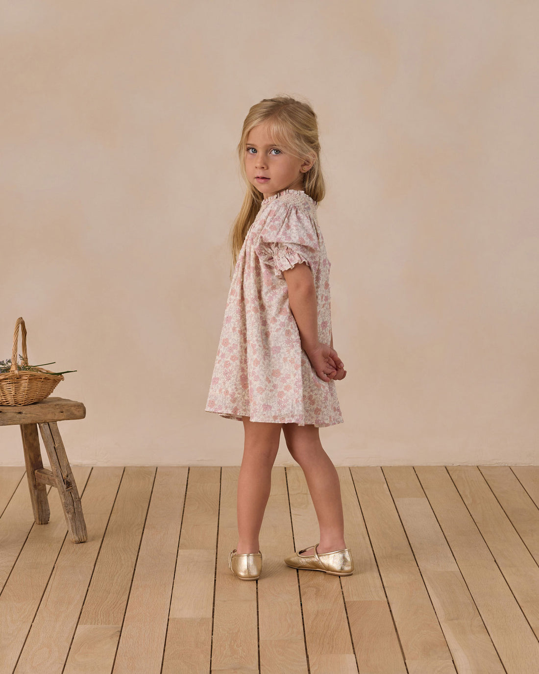 Noralee Pastel Garden Maddie Dress