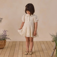 Noralee Eyelet Sara Dress