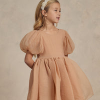 Noralee Blush Sofia Dress