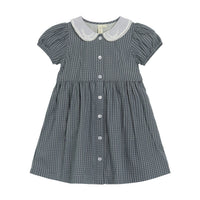 Little Cotton Clothes Little Blue Check Organic Audrey Dress