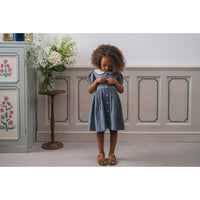 Little Cotton Clothes Little Blue Check Organic Audrey Dress