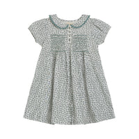 Little Cotton Clothes Porcelain Organic Elizabeth Smocked Dress