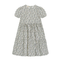 Little Cotton Clothes Evesham Floral Organic Katie Dress