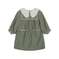 Little Cotton Clothes Little Green Check Organic Lottie Dress