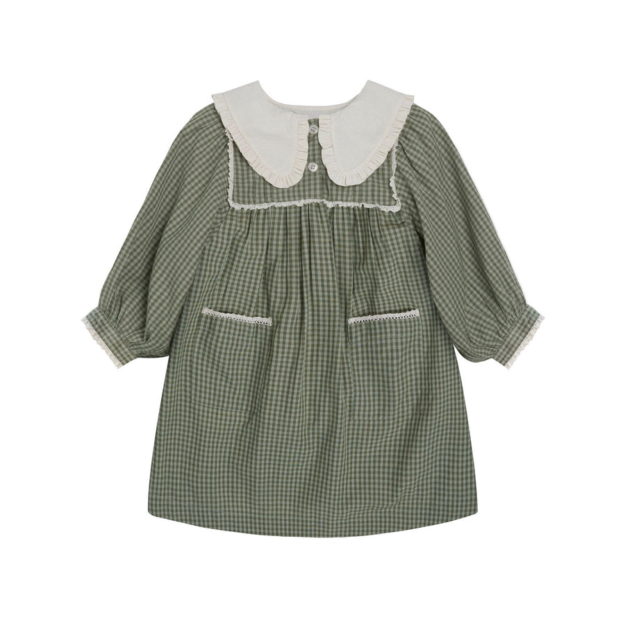Little Cotton Clothes Little Green Check Organic Lottie Dress