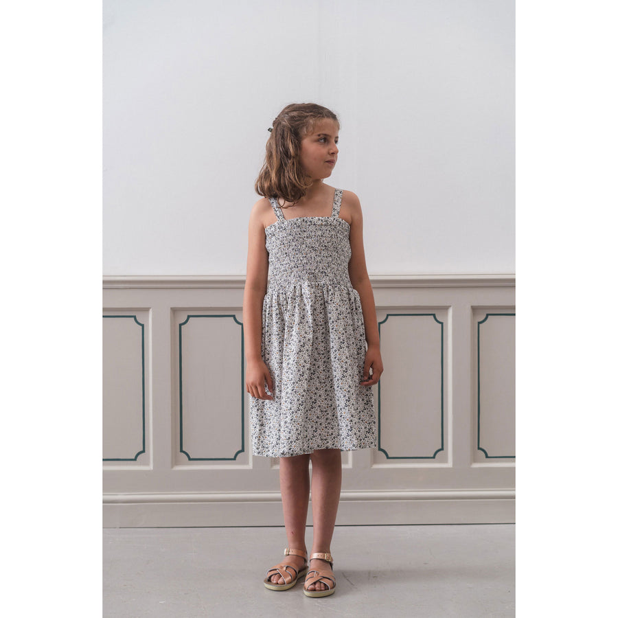 Little Cotton Clothes Evesham Floral Organic Penny Dress