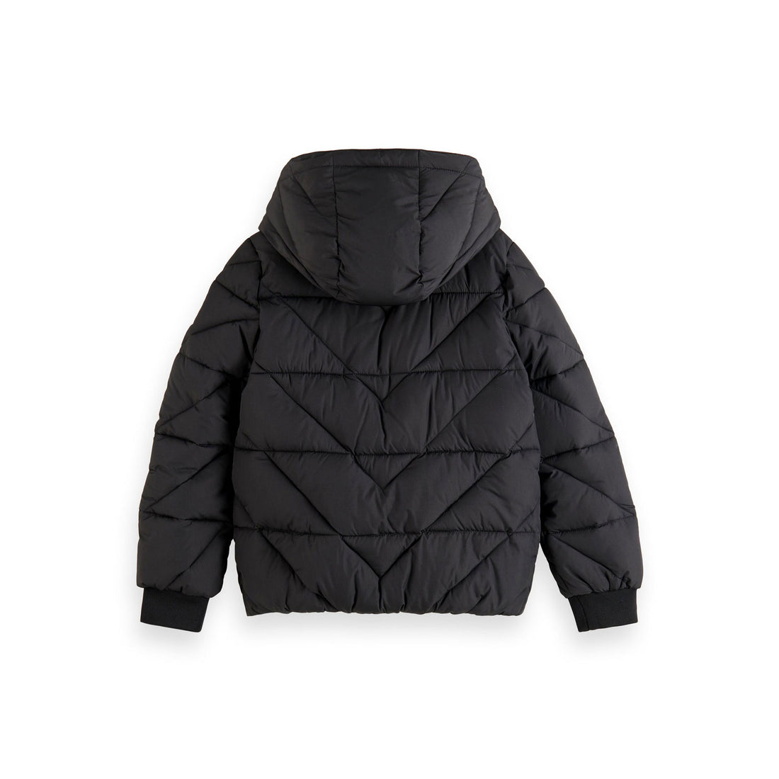 Scotch Shrunk Antracite Water Repellent Hooded Jacket