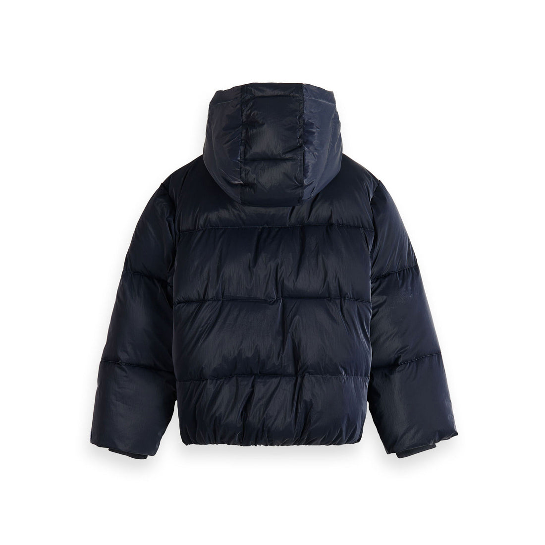 Scotch Shrunk Night Shiny Puffer Jacket