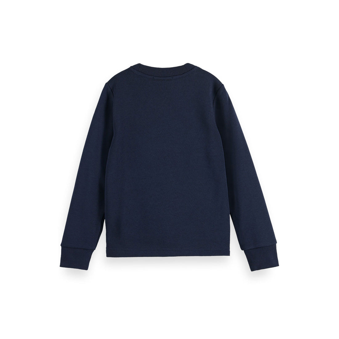 Scotch Shrunk Night Artwork Crewneck