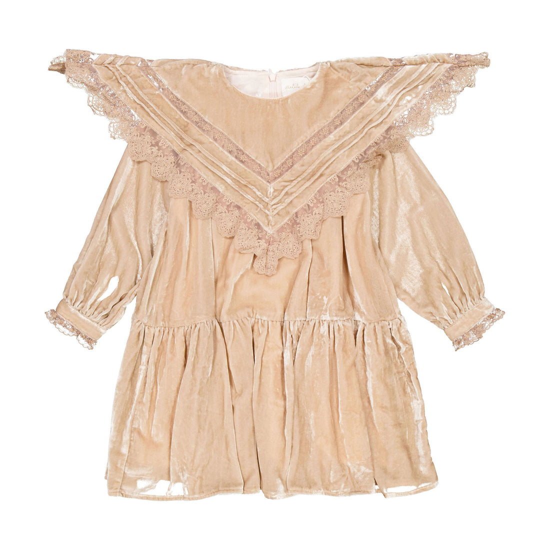 Petite Amalie Autumn Rose Velvet  Smock Dress
