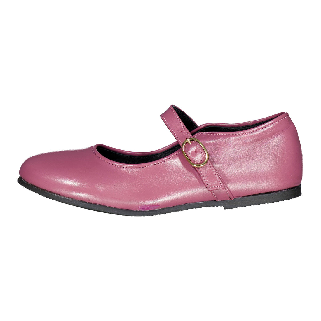 Ladida Shoes Mauve Buckle Mary Jane