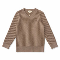 Arza Taupe Cable V Neck Sweater