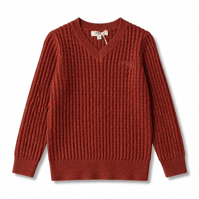 Arza Rust Cable V Neck Sweater