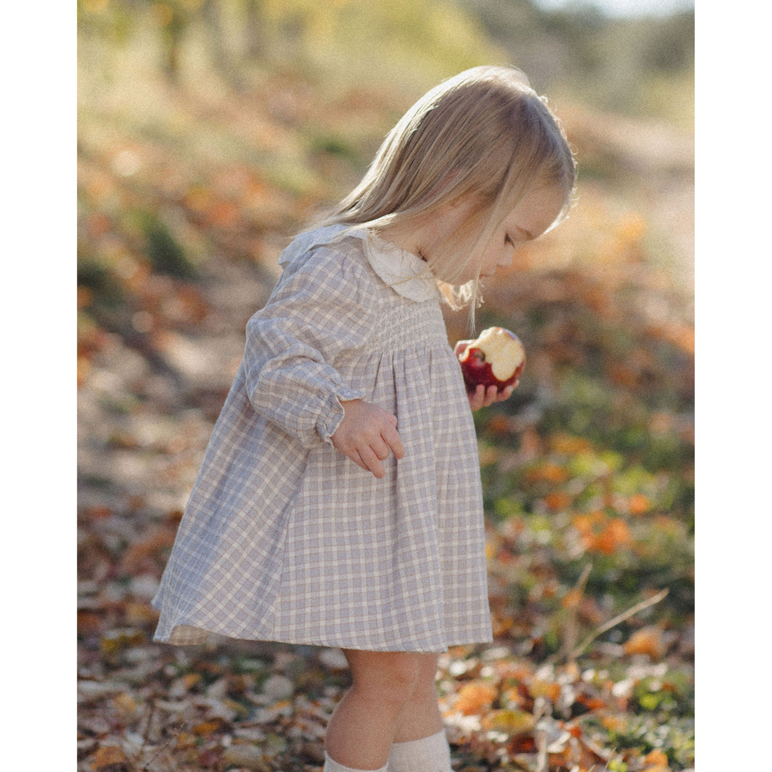 Quincy Mae Blue Gingham Callie Dress