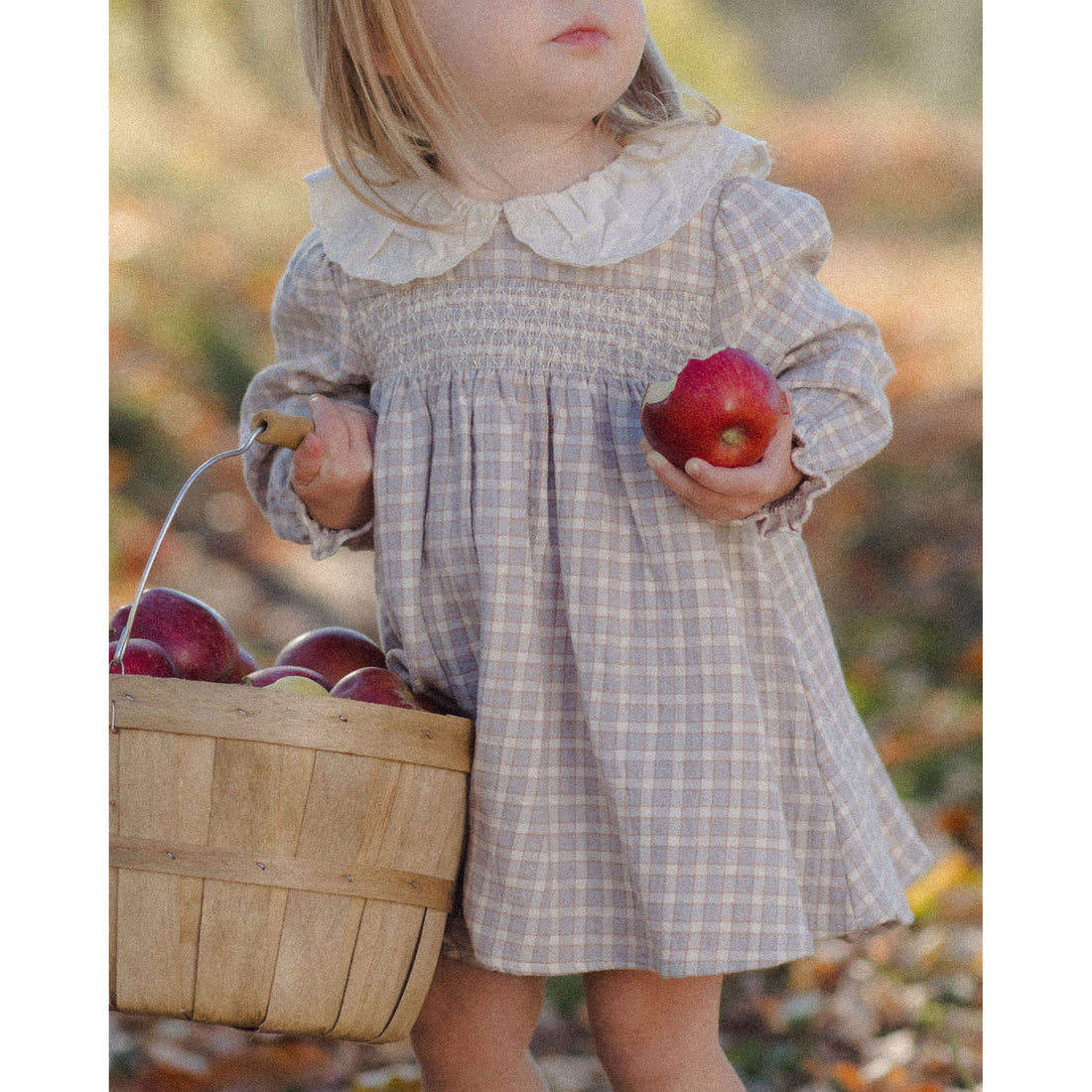 Quincy Mae Blue Gingham Callie Dress