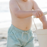 Quincy Mae Dino Boys Swim Short