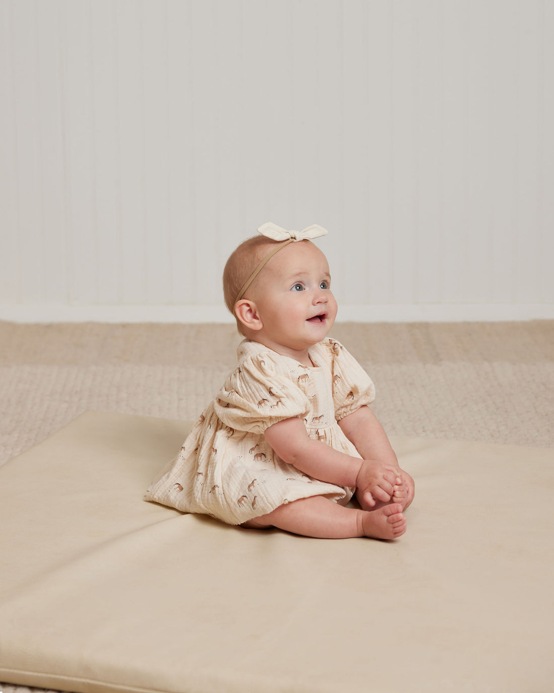 Quincy Mae Horses Francy Set