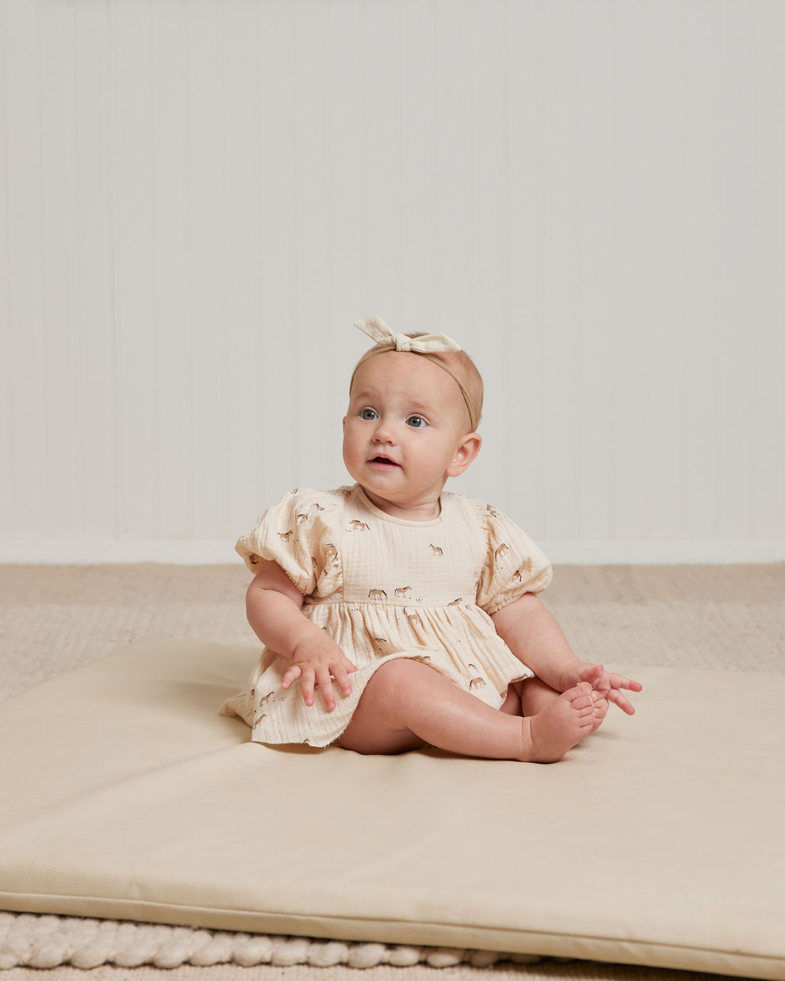 Quincy Mae Horses Francy Set