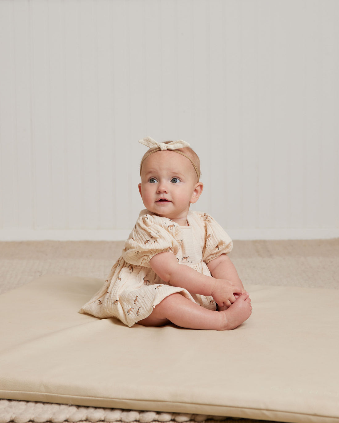 Quincy Mae Horses Francy Set