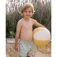 Rylee and Cru Beach Balls Swim Trunk