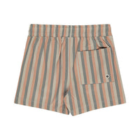 Rylee and Cru Multi Stripe Board Short