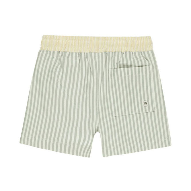 Rylee and Cru Sage Stripe Boardshort