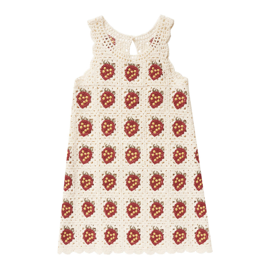 Rylee and Cru Strawberry Crochet Tank Mini Dress