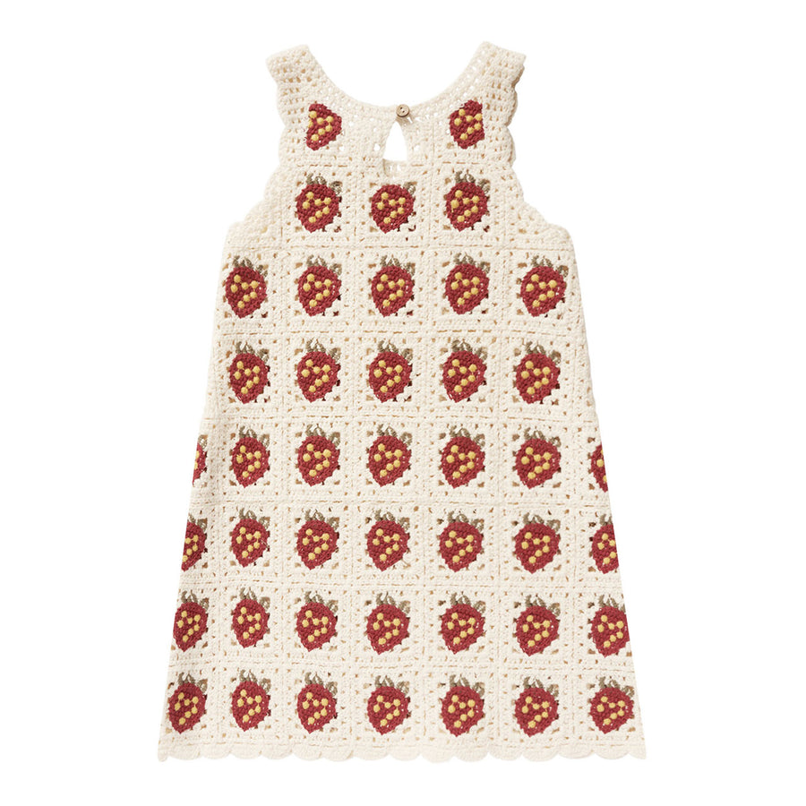 Rylee and Cru Strawberry Crochet Tank Mini Dress