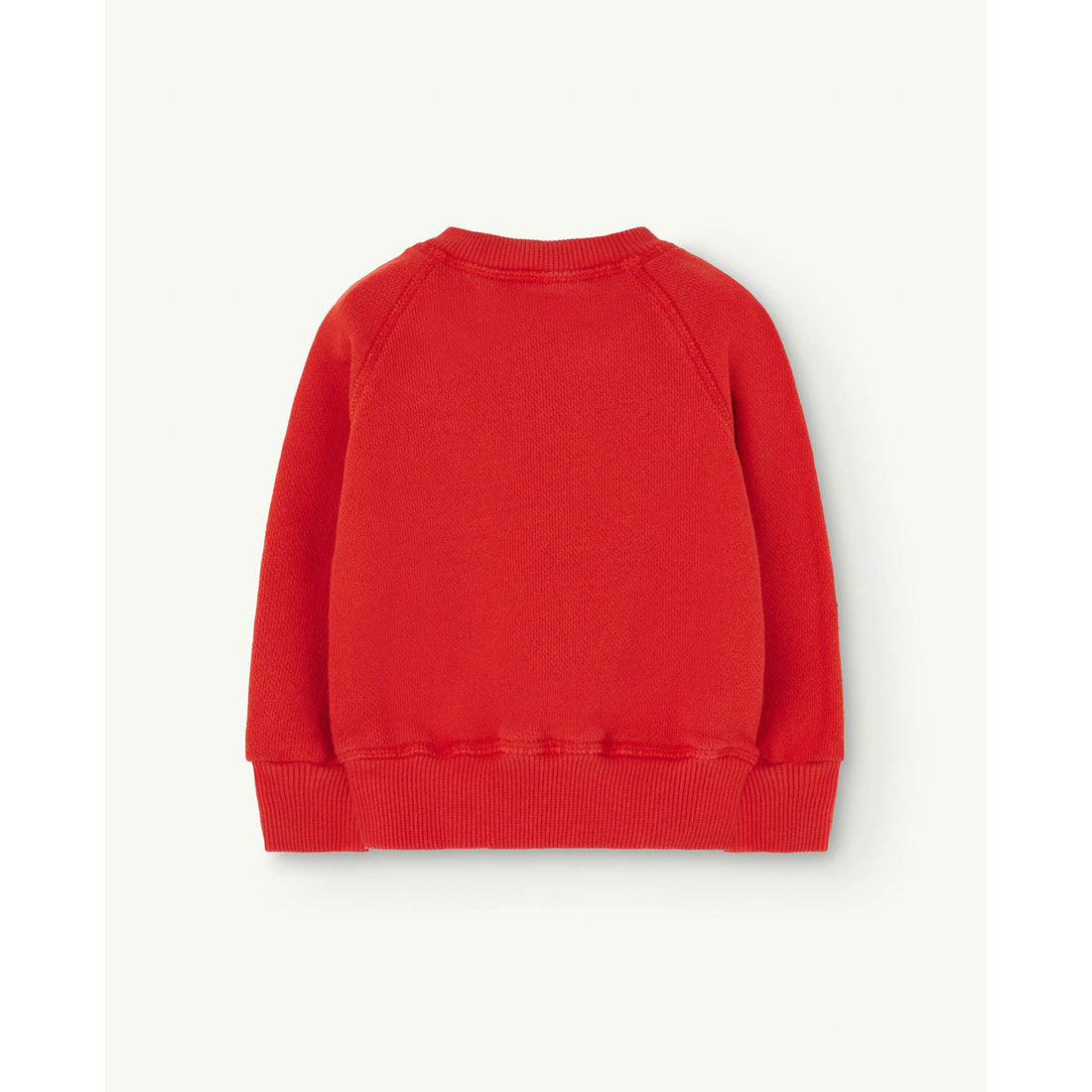 The Animals Observatory Red Worm Shark Baby Sweatshirt